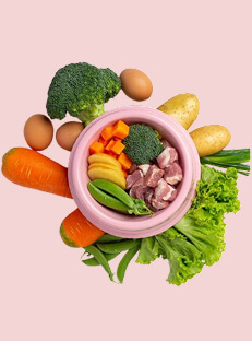 PCOD Diet Chart and Exercise for Weight Loss