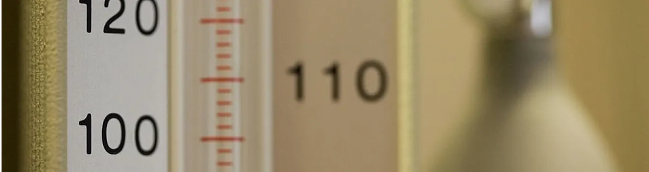 Blog Banner