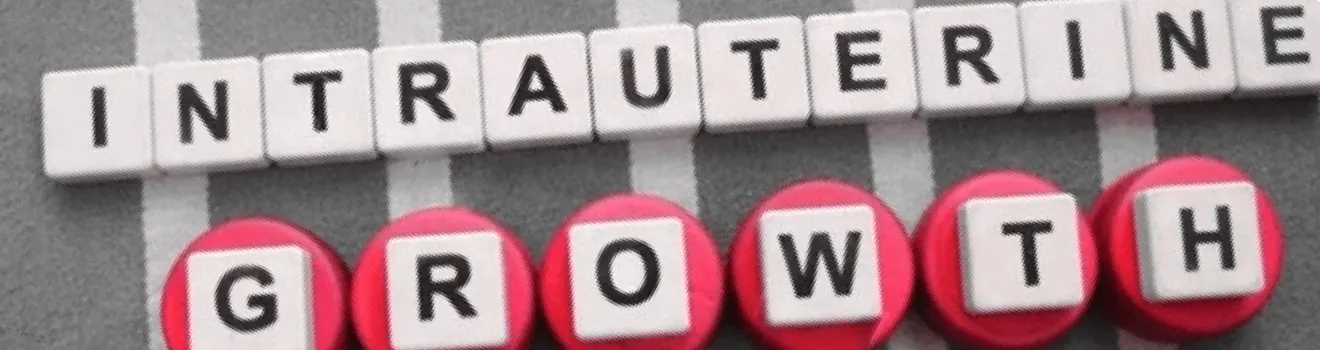 Blog Banner
