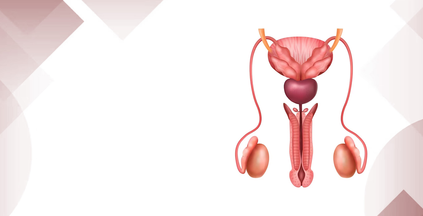 Testicular Atrophy Symptoms Causes Treatment Indira Ivf