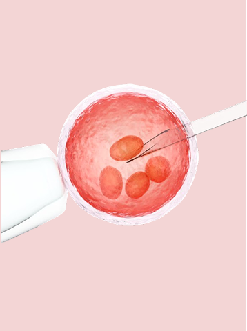 Negative Signs After Embryo Transfer