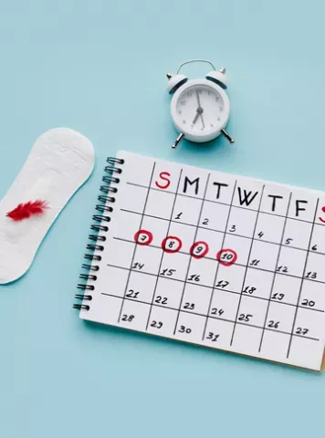 Your Ultimate Guide to the Monthly Period Cycle