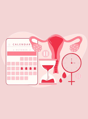 How to Get Pregnant After Your Period: A to Z Guide