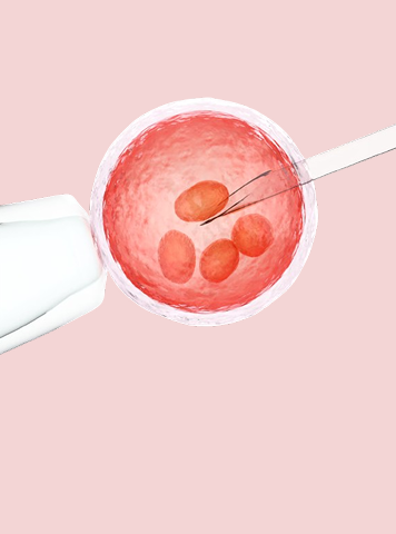 प्रेगनेंसी के लिए एग का सही आकार क्या है? (Best Egg Size for Pregnancy in Hindi)