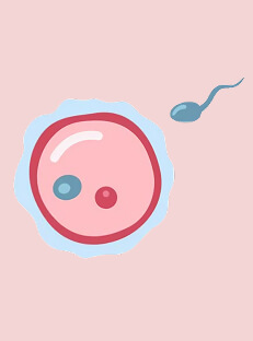 Why Does IUI Fail? Causes, Symptoms, and What to Do Next