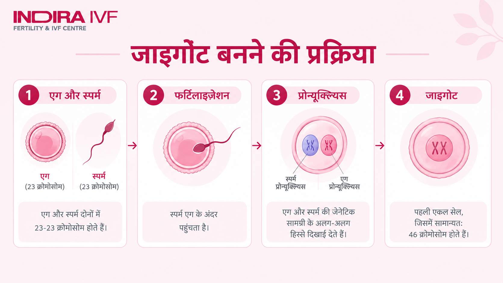 Zygote Process