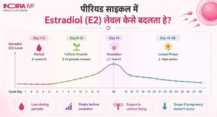 पीरियड साइकल में E2 का लेवल कैसे बदलता है