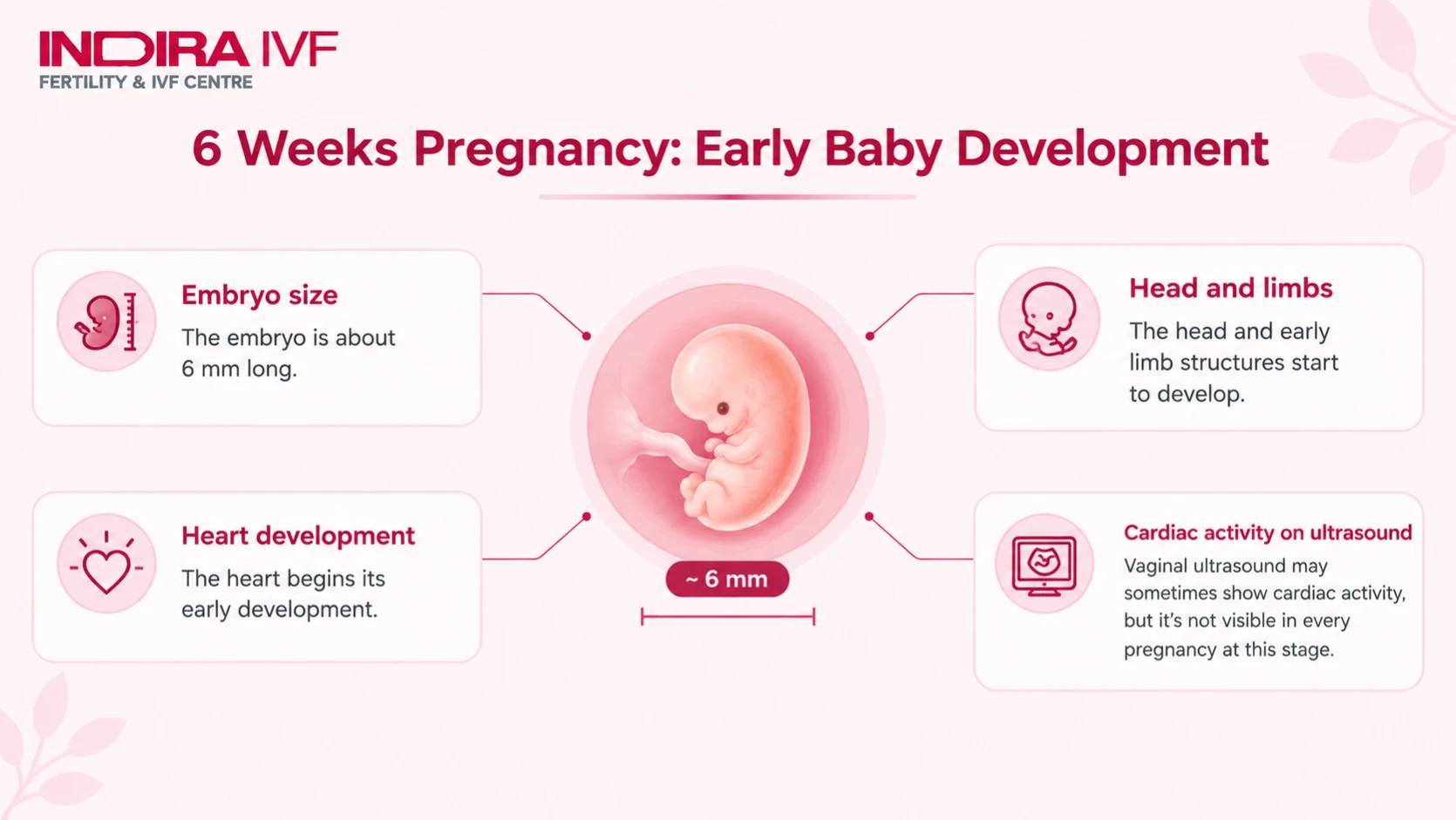 6 Week Pregnancy