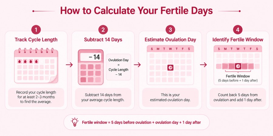  the Best Time to Get Pregnant After Periods