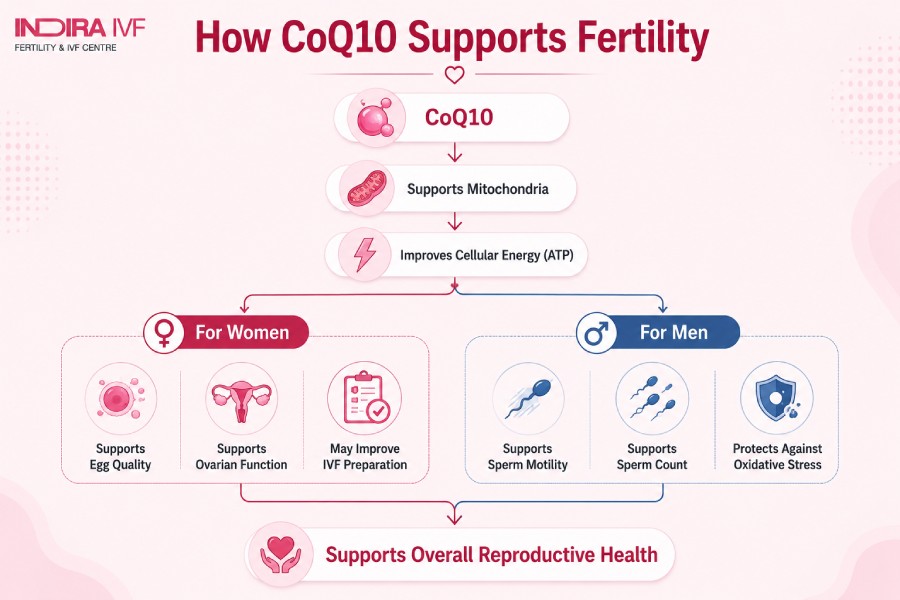 Potential Benefits of CoQ10 for Fertility