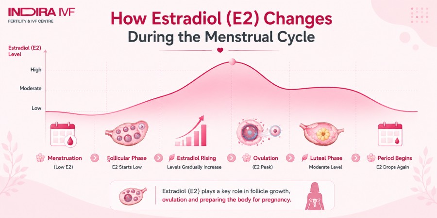 What are Normal Estradiol Ranges