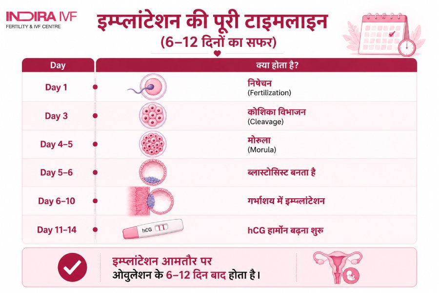 निषेचित अंडा गर्भाशय में कैसे जुड़ता है