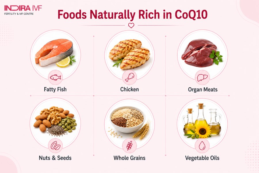 Natural Food Sources of CoQ10