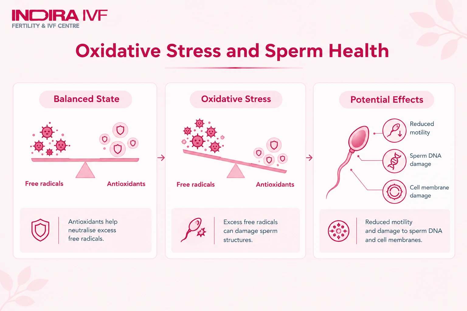 Oxidative Stress and Sperm Health