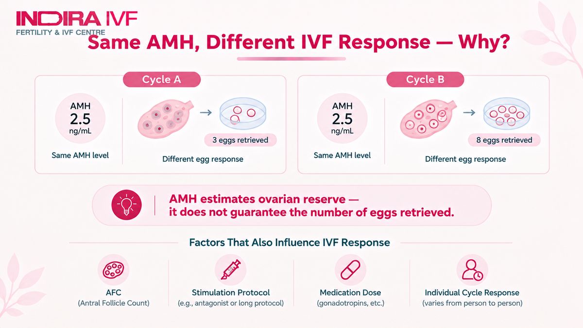 Same AMH,Different IVF Response