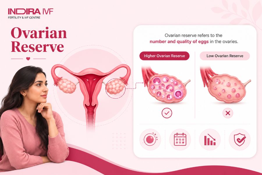 Understanding ovarian reserve