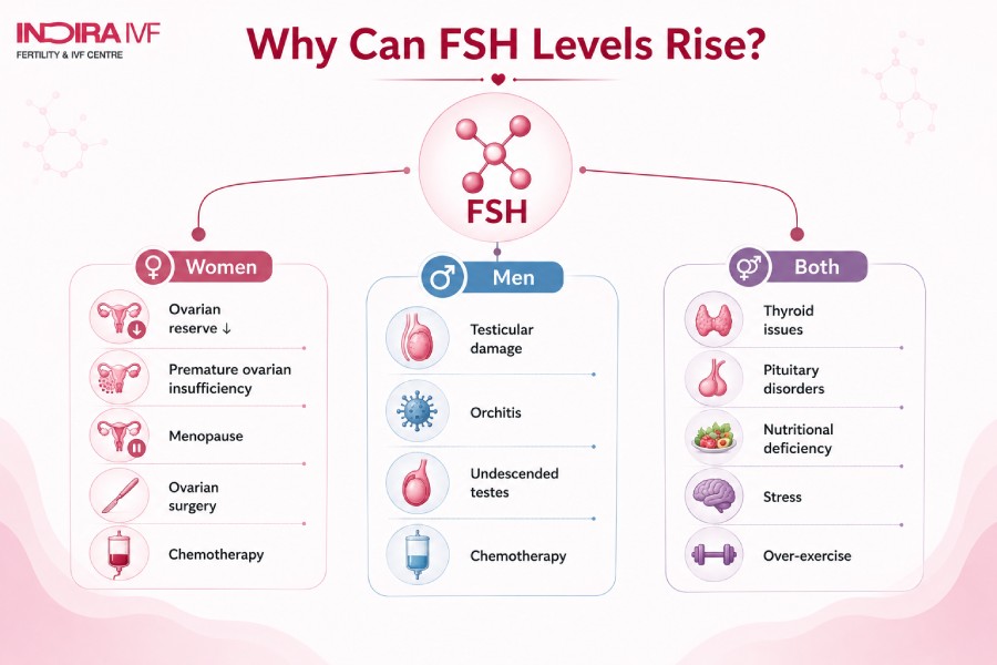 What Causes High FSH Levels