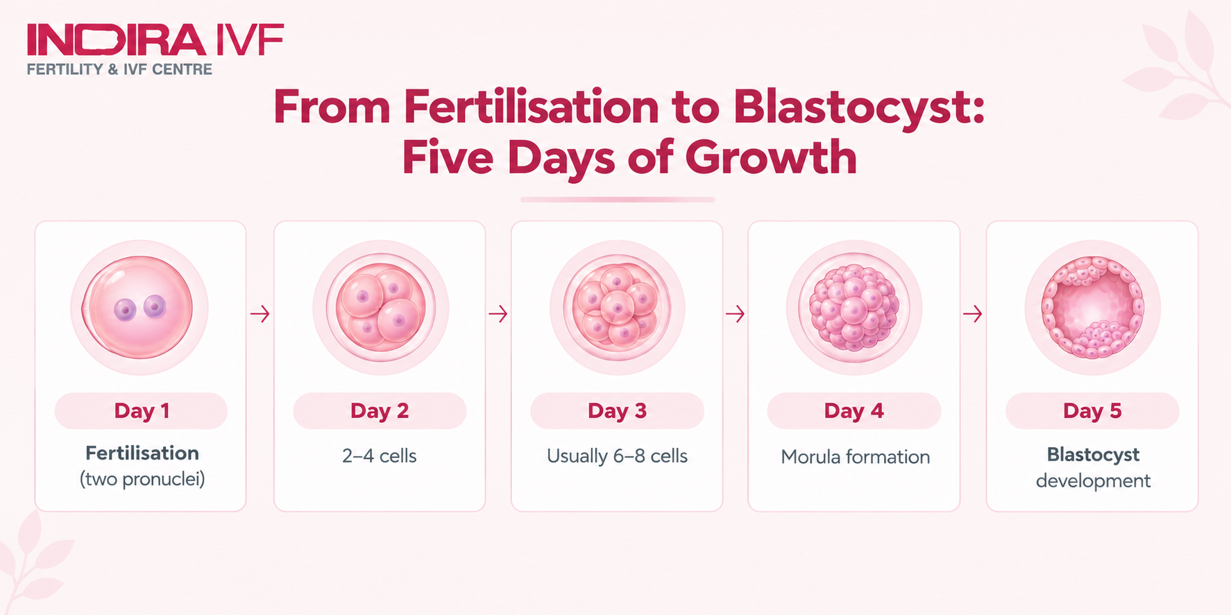 Five days of Growth