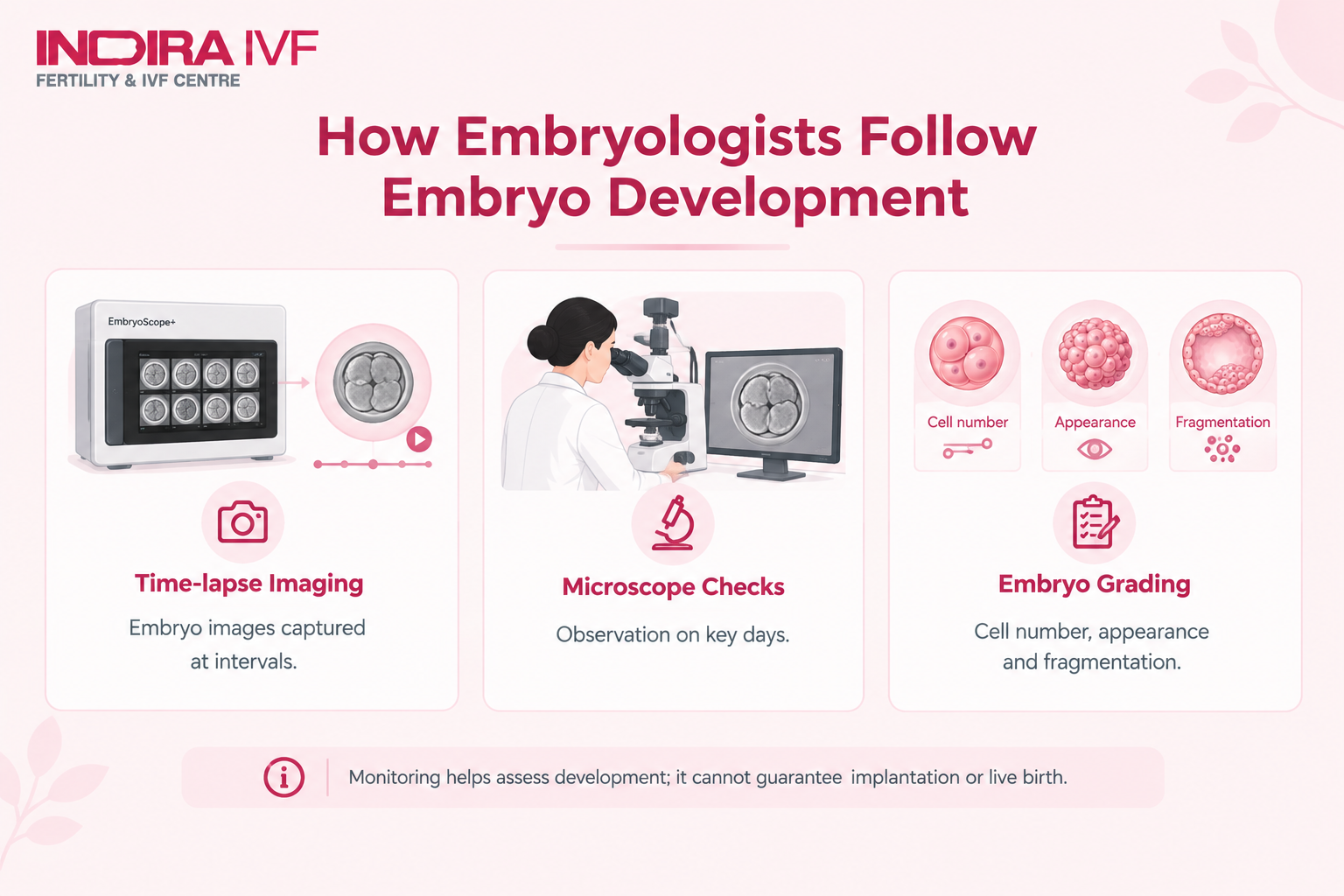 ivf-embryo-monitoring-time-lapse