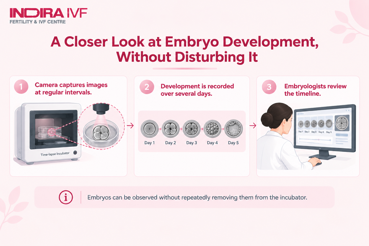 Embryo Development