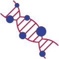 Indira IVF DNA Fragmentation Index (DFI)