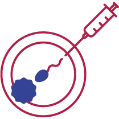 Indira IVF ICSI (Intracytoplasmic Sperm Injection Treatment)