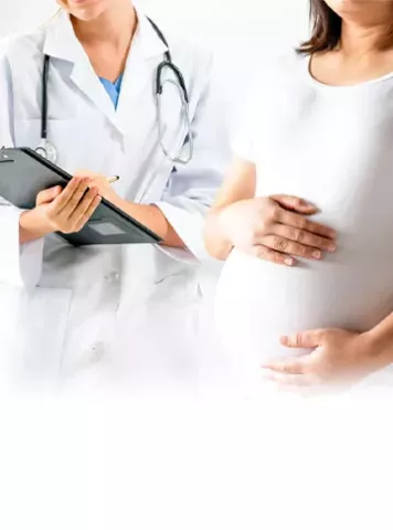 Top 10 Fertility-Boosting Foods for Women Trying to Conceive