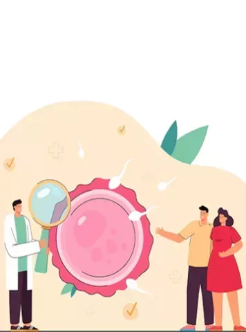 Retroverted Uterus – Causes, Symptoms and Impact on Fertility