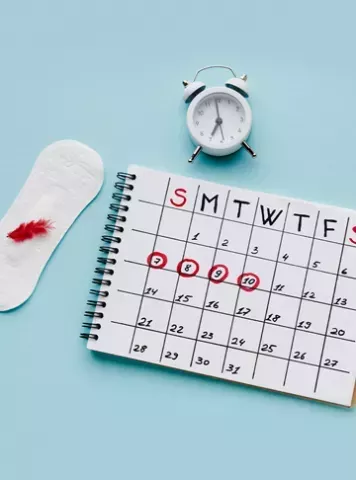 Your Ultimate Guide to the Monthly Period Cycle