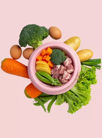 Foods that Boost Fertility for a Healthy Pregnancy