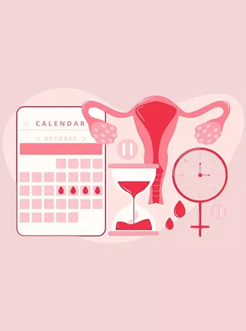 How to Get Pregnant After Your Period: A to Z Guide