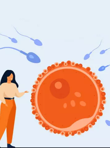 Sperm Motility Percentage for Pregnancy