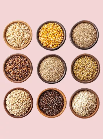 Everything You Need to Know About Seed Cycling & Its Benefits