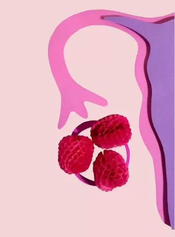 What is Follicle in Ovary and Its Role in Fertility