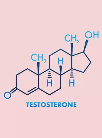 Testosterone: What It Is, What It Does and Why It Matters