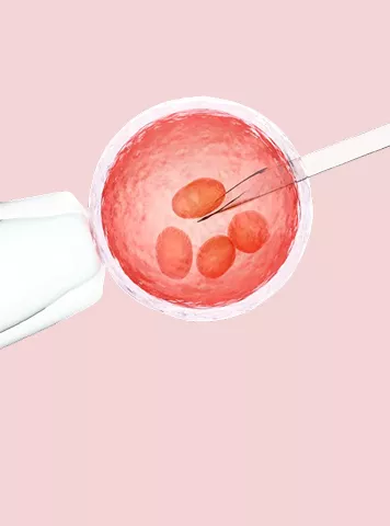 How to Improve Sperm Quality for Better Male Fertility?