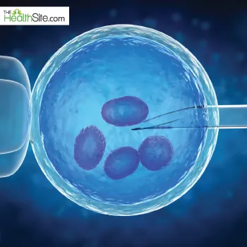 Egg Quality and Fertility