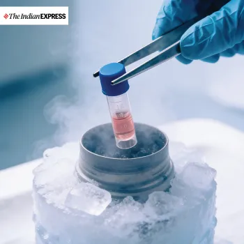 From EMIs to Egg Freezing