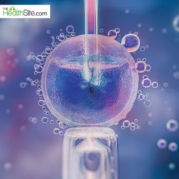 Ovarian Microenvironment & IVF Success