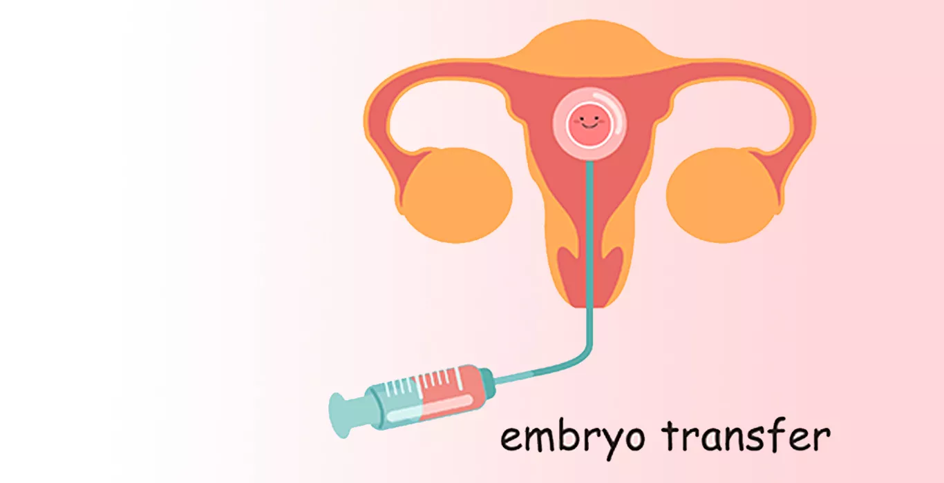 How Do Embryos Travel Along The Fallopian Tube?