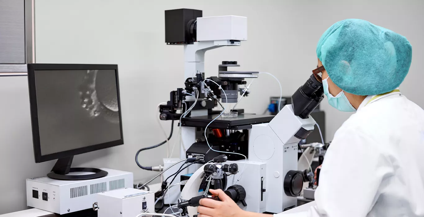 Can Single Embryo Transfer Result in Twins?