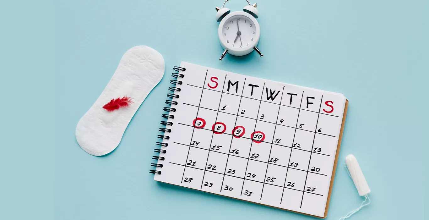 What Is Ovulation? Symptoms & Tracking