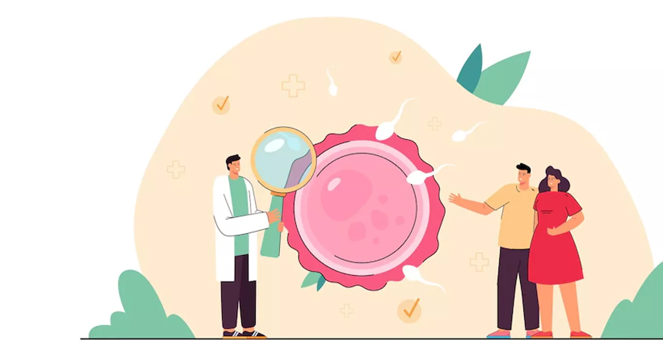 Single or Multiple Embryo Transfer – Necessary Points to Know