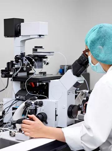 Can Single Embryo Transfer Result in Twins?