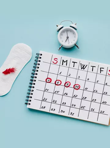 What Is Ovulation? Symptoms & Tracking