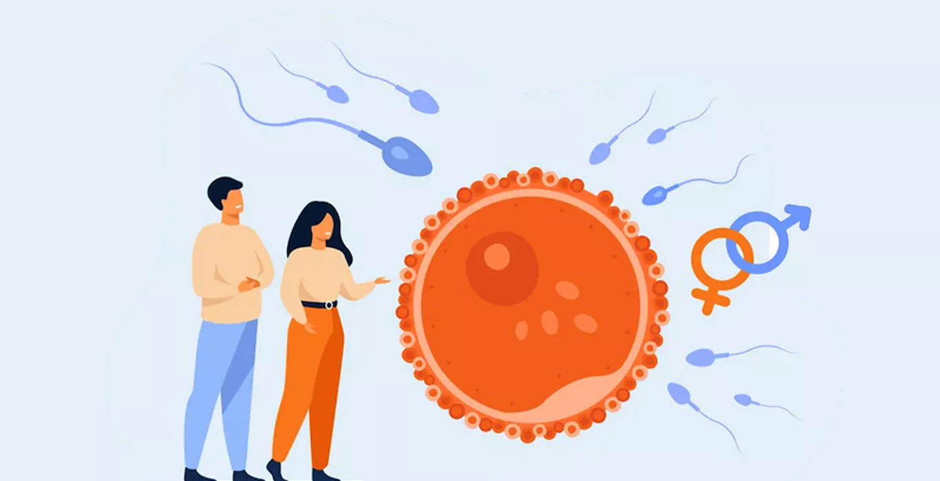 TESA और TESE की मदद से कैसे करें एजू़स्पर्मिया के चलते, पुनः स्पर्म प्राप्ति?