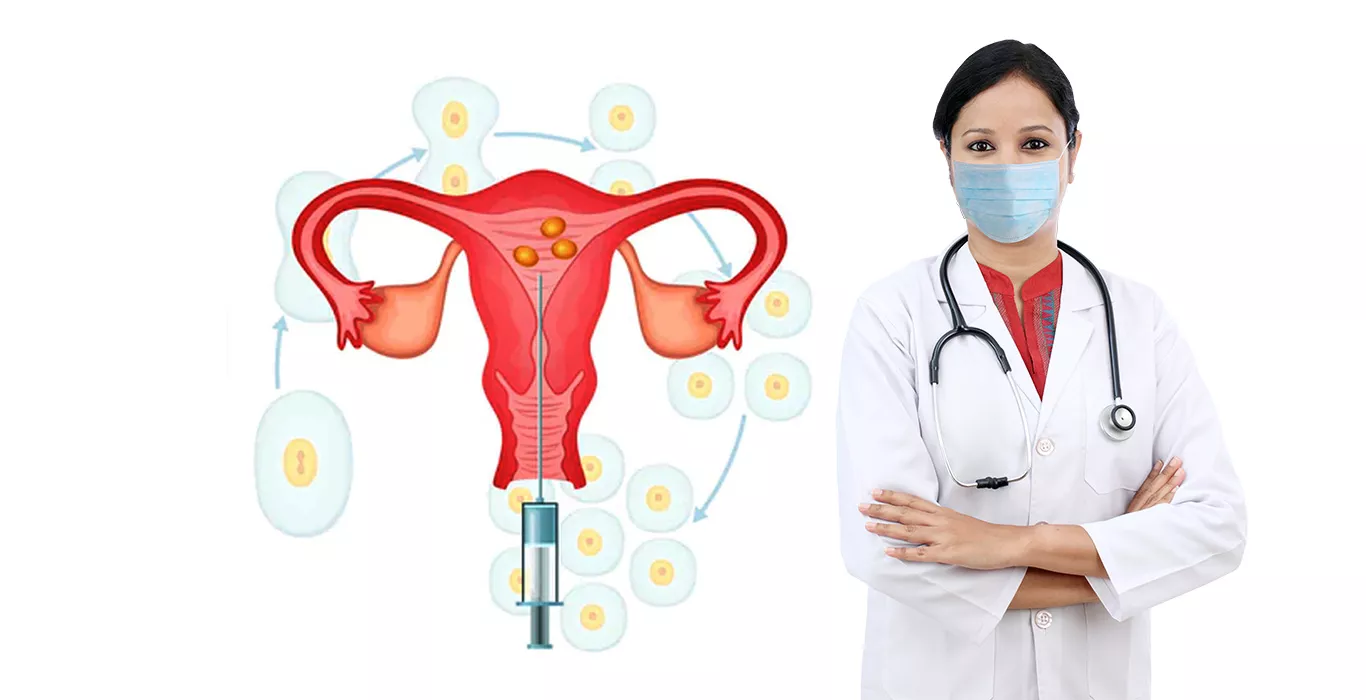 Who performs in vitro fertilization & How is it performed?