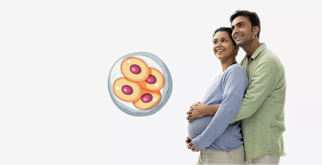 What is the Procedure of IVF with Donor Embryos?