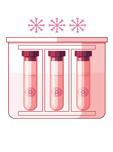 Cryopreservation
