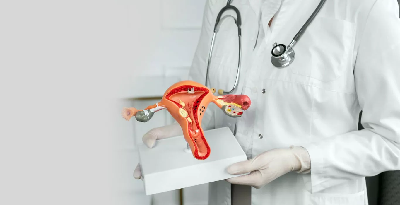 Thin Endometrium: Causes, Symptoms, Diagnosis & Treatment